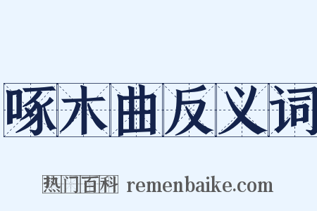 啄木曲反义词是什么意思的图片